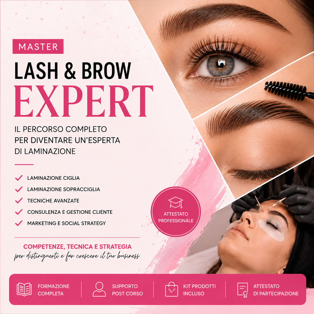 Master Lash & Brow Expert