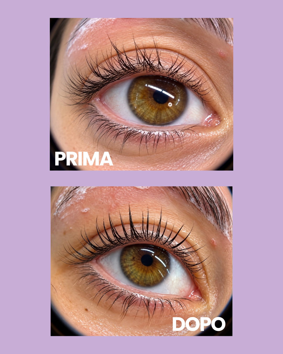 Lash Active Serum - 20 ml